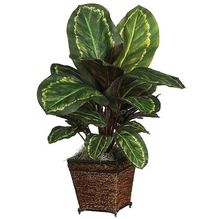 Dare2Decor Maranta with Basket Silk Plant DA664564